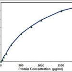 Bradford-Protein-Assay-Kit