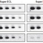 ECL-3