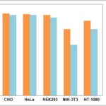LipoFect 2000 & LipoFectMax