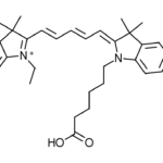 Cy5 acid