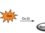 Picolyl azide scheme