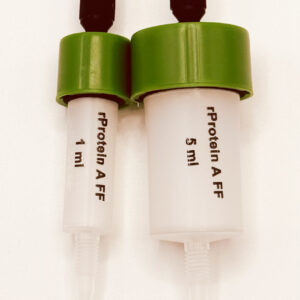 HiTrap rProtein A FF column